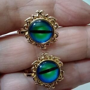 Vintage Earrings Clip